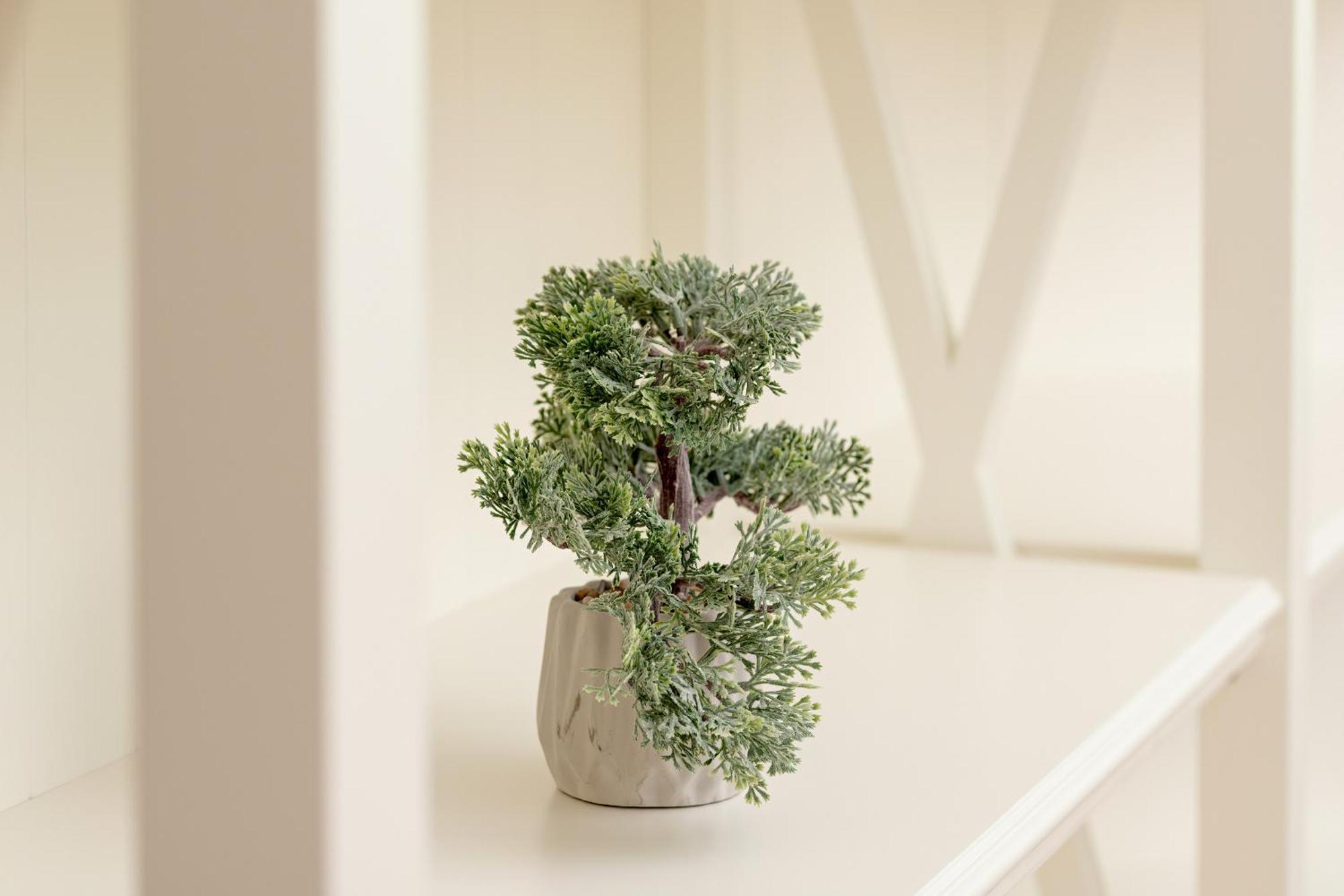 Apartment Elegancki Z Tarasem I Ogrodem W Sopocie By Rent Like